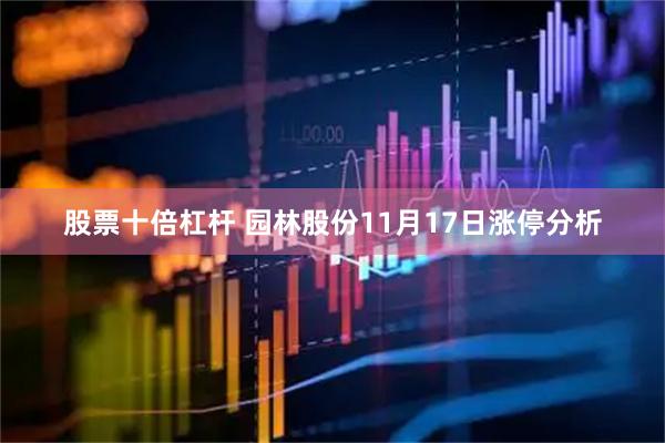 股票十倍杠杆 园林股份11月17日涨停分析