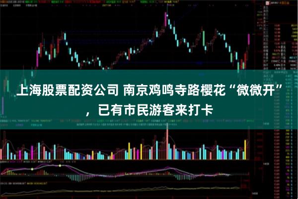 上海股票配资公司 南京鸡鸣寺路樱花“微微开”，已有市民游客来打卡